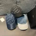 1Dior Hats #A48249