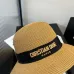 25Dior Hats #A50952