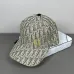 12Dior Hats #A52357