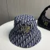 1Dior Hats #A52363
