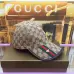 3Gucci AAA+ hats & caps #9120252