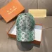29Louis Vuitton AAA+ hats &amp; caps #A48044