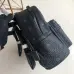 6MCM AAA+ Backpack #9120632