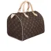 3Louis Vuitton 2021 speedy printed canvas Handbag for women #9121479