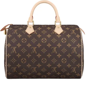 Louis Vuitton 2021 speedy printed canvas Handbag for women #9121479