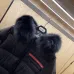 10Prada Coats/Down Jackets for Women #A28882