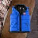 1Canada Goose #999914595