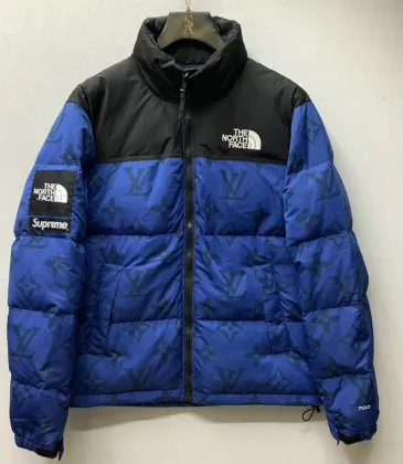 Louis Vuitton Down Jackets #999930235