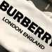 6Burberry Hoodies for Men #999918496