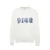 1Dior hoodies for Men #A41053