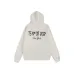 10FOG Essentials Hoodies #A40037