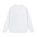 10Loewe Hoodies #A41037