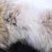 3Canada goose jacket 19fw expedition wolf hairs 80% white duck down 1:1 quality Canada goose down coat for Men and Women #99899256