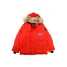 1Canada goose jacket 19fw expedition wolf hairs 80% white duck down 1:1 quality Canada goose down coat for Men and Women #99899259