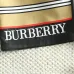 15Burberry Pants for Burberry Short Pants for men #A35180