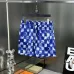 1Louis Vuitton 2024 new beach short #A39229