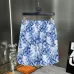 3Louis Vuitton Pants for Louis Vuitton Short Pants for men #A34841