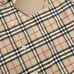 6Burberry Shirts for Burberry Men's AAA+ Burberry Long-Sleeved Shirts #99902071