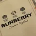 8Burberry Shirts for Burberry Men's AAA+ Burberry Long-Sleeved Shirts #A49807
