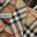 18Burberry Shirts for Burberry Men's AAA+ Burberry Long-Sleeved Shirts #A49808