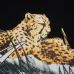 8Amiri T-shirts #A25229