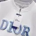 16Dior T-shirts for men blue letters #A47028