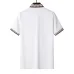 13Gucci T-shirts for Gucci Polo Shirts #A46313