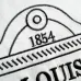 4Louis Vuitton AAA Letter Embroidered T-Shirts for Men' Polo Shirts #A33202