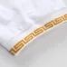 5Versace T-Shirts for Men t-shirts #9122350