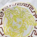 5Versace T-Shirts for Men t-shirts #A49833