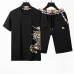 1Burberry Tracksuits for Burberry Short Tracksuits for men #999921640