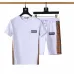 1Burberry Tracksuits for Burberry Short Tracksuits for men #A21804