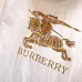 3Burberry Tracksuits for Burberry Short Tracksuits for men #A36935