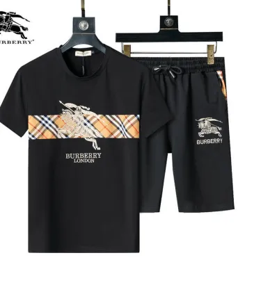 Burberry Tracksuits for Burberry Short Tracksuits for men #A51941