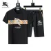 1Burberry Tracksuits for Burberry Short Tracksuits for men #A51941