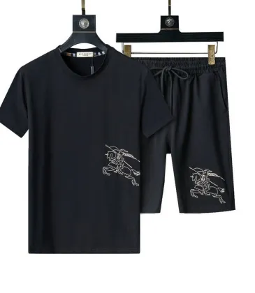 Burberry Tracksuits for Burberry Short Tracksuits for men #A51942