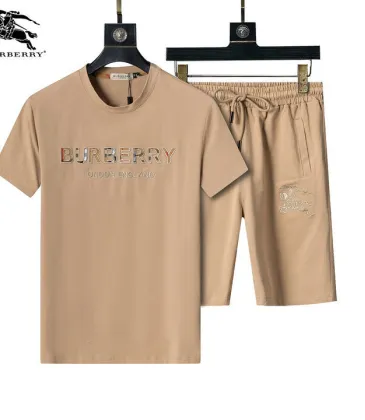Burberry Tracksuits for Burberry Short Tracksuits for men #A51945