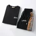 7Burberry Tracksuits for Burberry Short Tracksuits for men #A51946