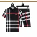 1Burberry Tracksuits for Burberry Short Tracksuits for men #A51948