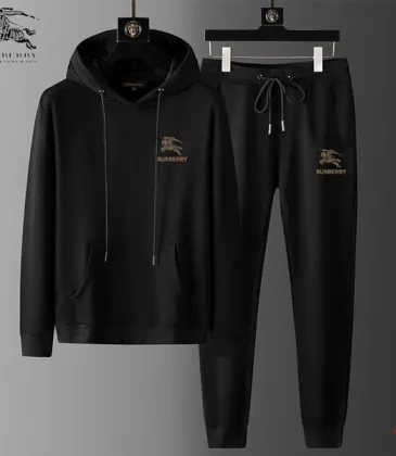 Burberry Tracksuits for Men's long tracksuits #A50702