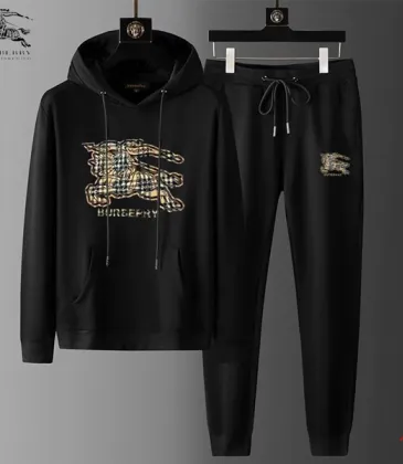 Burberry Tracksuits for Men's long tracksuits #A50703