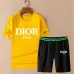 3Dior tracksuits for Dior Short Tracksuits for men #A53096