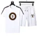 1Louis Vuitton tracksuits for Louis Vuitton short tracksuits for men #A22505