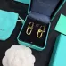 3Tiffany Earrings #999916167