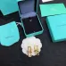 4Tiffany Earrings #999916167