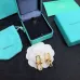 5Tiffany Earrings #999916167