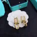 1Tiffany Earrings #999916167