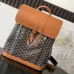 1GOYARD 2022 SS Backpacks Yellow/Black #A25219