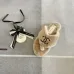 8Chanel shoes for Women's Chanel slippers #A30023