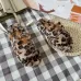 1CÉLINE Shoes for Slippers #A27974